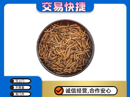 巢湖回收散虫草